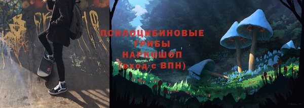 тгк Сосновый Бор