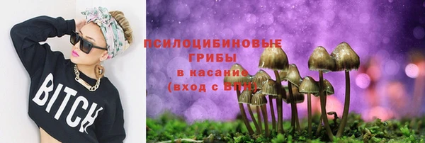 герыч Магас