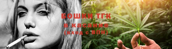 дмт Карпинск
