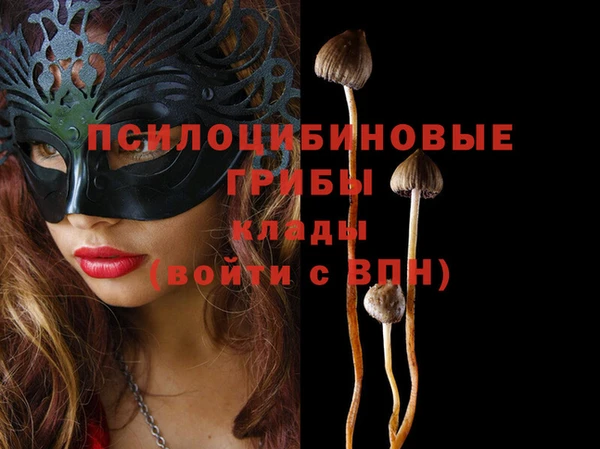 герыч Магас