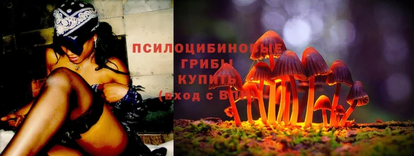 дурь Магадан