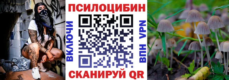 blacksprut как зайти Гуково Галлюциногенные грибы GOLDEN TEACHER