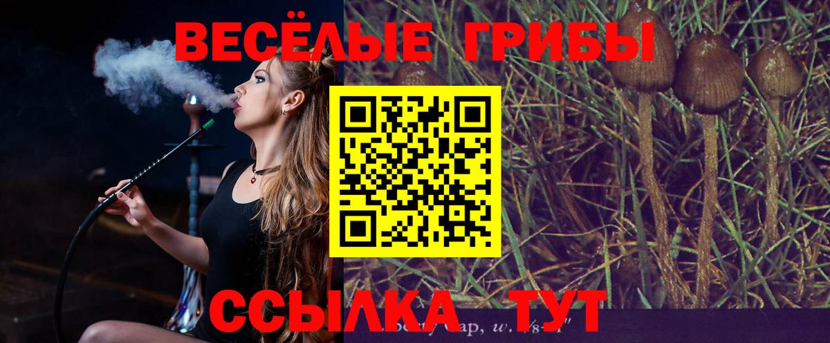 Псилоцибиновые грибы Psilocybine cubensis Гуково