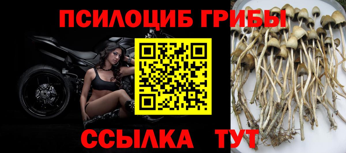 Псилоцибиновые грибы MAGIC MUSHROOMS  Вход с VPN  Гуково 